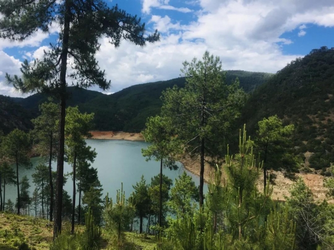 我中了泸沽湖的毒！但我不愿服下解药，因为那抹绿，是重生 (6).jpg