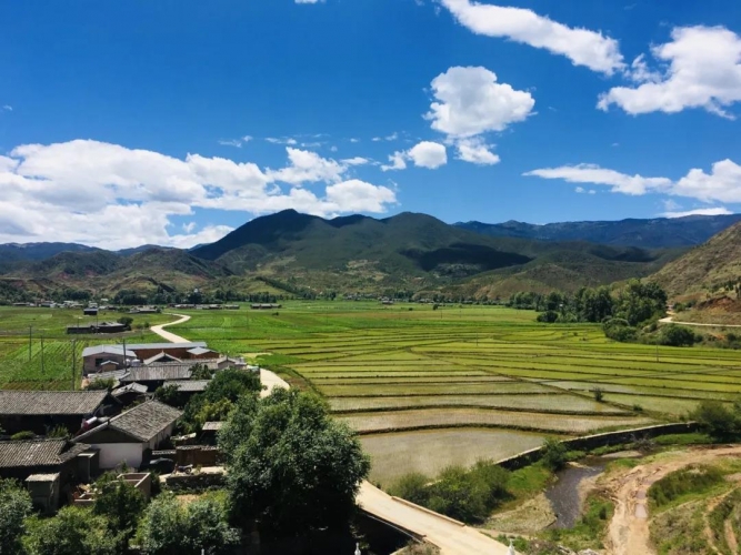 我中了泸沽湖的毒！但我不愿服下解药，因为那抹绿，是重生 (9).jpg