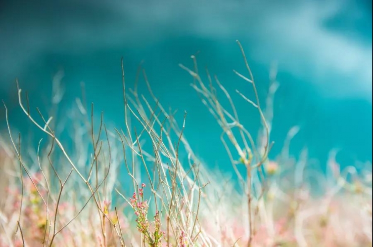 你等到那个人了吗？一起去泸沽湖划船看美景 (10).jpg