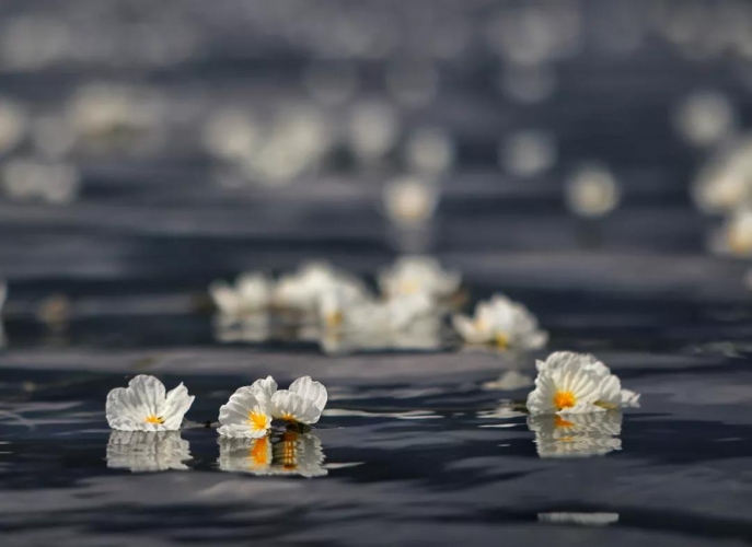 去泸沽湖，找寻心中的诗与远方 (8).jpg
