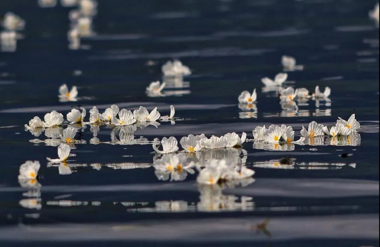 去泸沽湖，找寻心中的诗与远方 (7).jpg