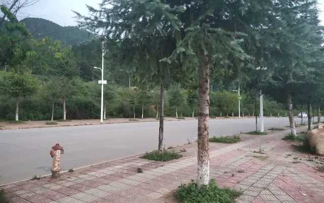 永胜被抱走3岁男童的惊心45小时   嫌犯想10万卖掉 (5).jpg