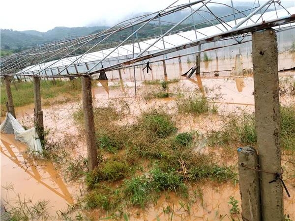 14884人受灾、经济损失9402 (7).jpg