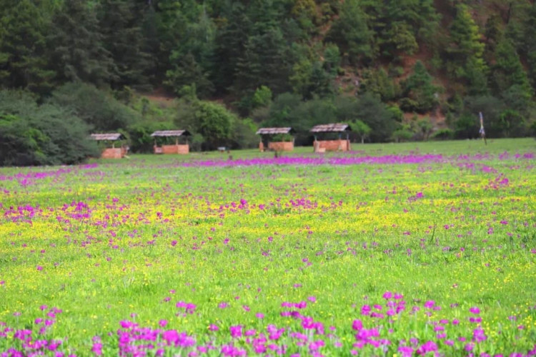 泸沽湖的后花园木底箐：一个缀于山水间而又不失烟火气的圣地！ (4).jpg