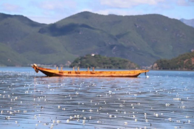 泸沽湖的四季，在猪槽船划过的碧波里打开！ (4).jpg