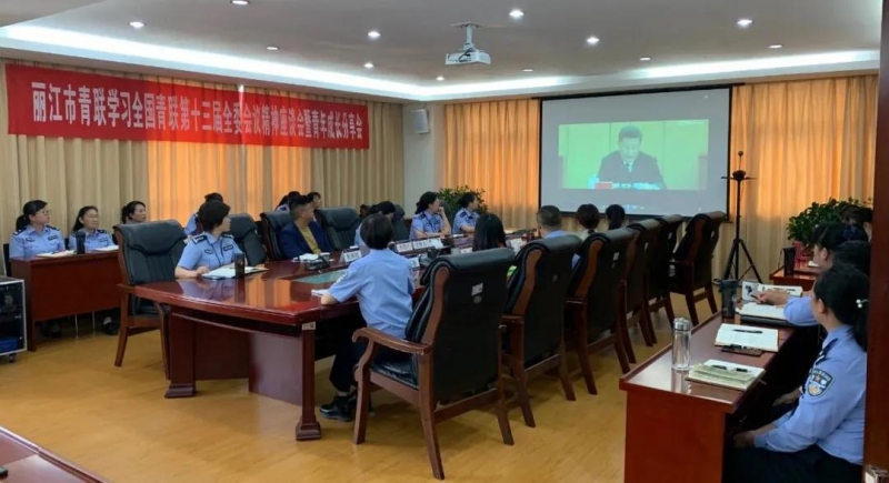 全国青联第十三届全委会议召开，挥带头引领作用、以实际行动践行初心信念 (1).jpg