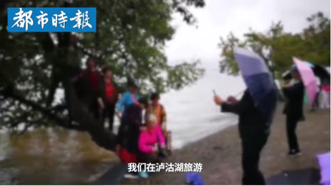 曝光！！！多名游客攀爬泸沽湖情人树拍照…… (1).png