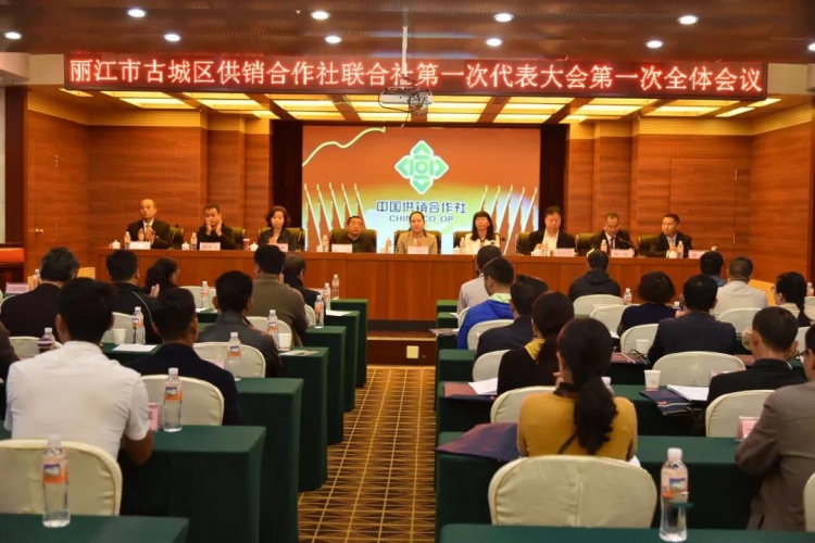 服务“三农”，担当有为！古城区供销合作社联合社第一次社员代表大会召开3.jpg
