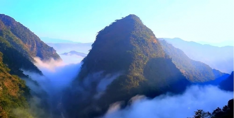 华坪县“中国天然氧吧”通过初审 (1).jpg