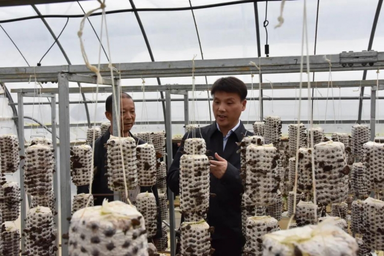 杨浦区永胜县东西部扶贫协作，共同谱写杨浦和永胜合作新篇章 (2).jpg