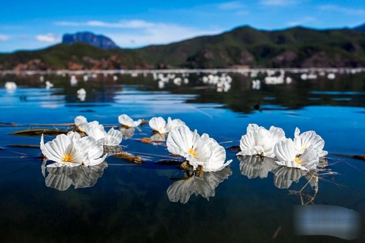 每年几百万游客神醉心往的圣地 美丽泸沽湖的背后是保护12.jpg