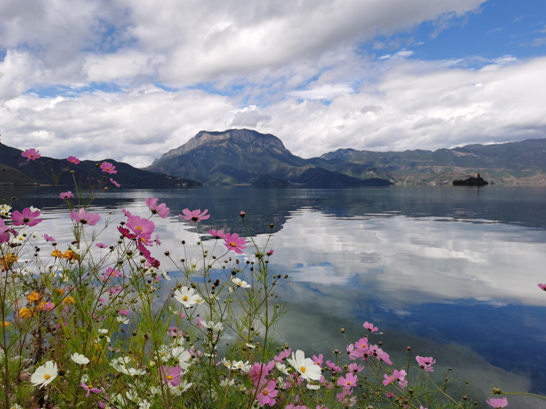 爱泸沽湖胜过爱自己的眼睛 投资93亿元24个保护治理项目稳步推进 (12).png