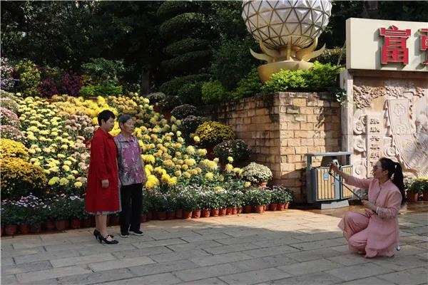 菊花正怒放 县城景更美5.jpg