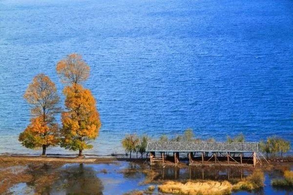 泸沽湖的秋天，就是这么美！ (2).jpg