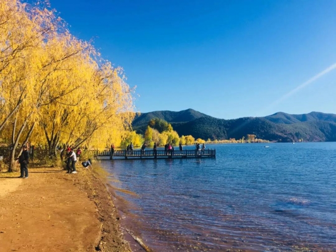 泸沽湖的秋天，就是这么美！ (9).jpg