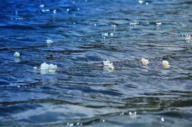 泸沽湖的秋天，就是这么美！ (28).jpg