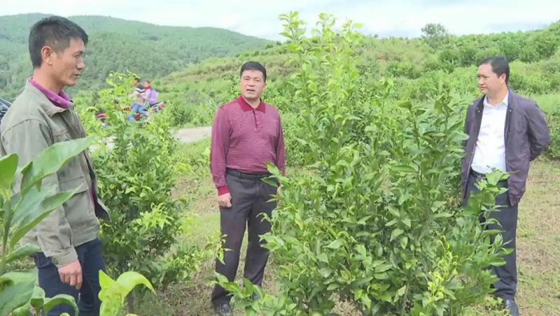 余丽军到德胜村开展“挂联走亲”活动 (1).jpg