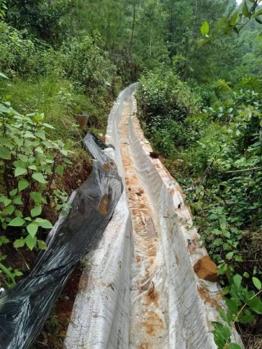 房屋倒塌、家畜死亡……村民上报了没人理会？ (6).jpg