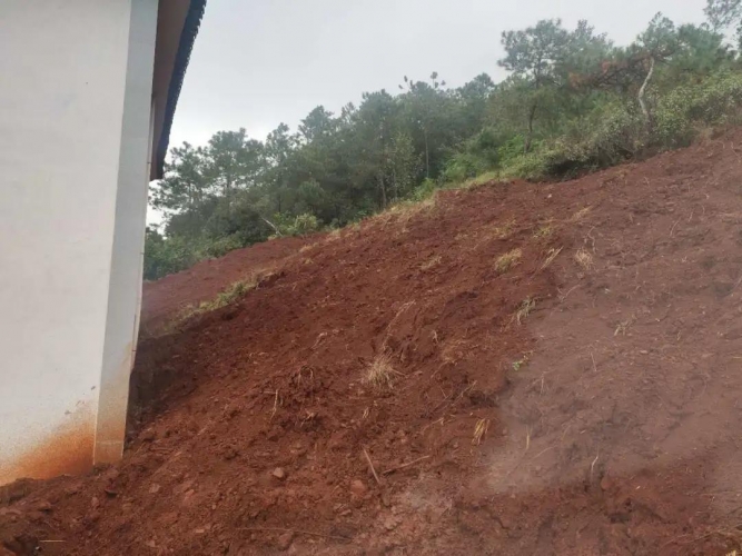 房屋倒塌、家畜死亡……村民上报了没人理会？ (3).jpg