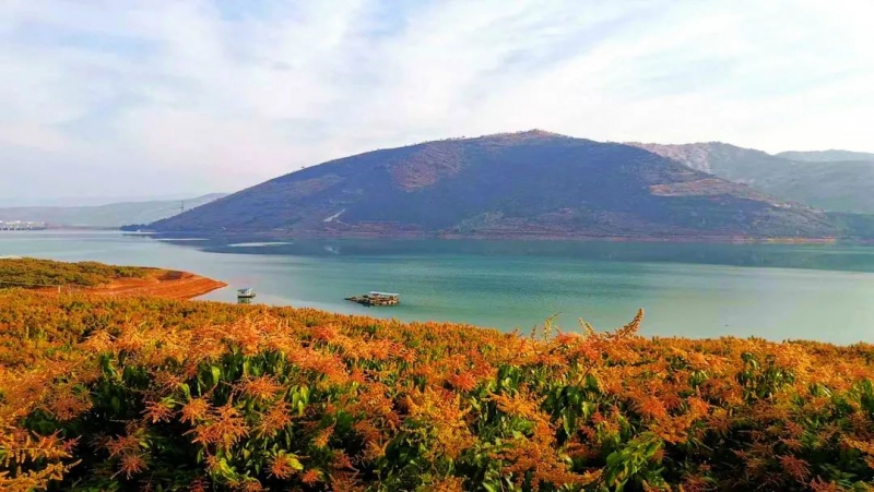 华坪守护绿水青山中打造金山银山、实现“生态美、百姓富”的目标 (6).jpg