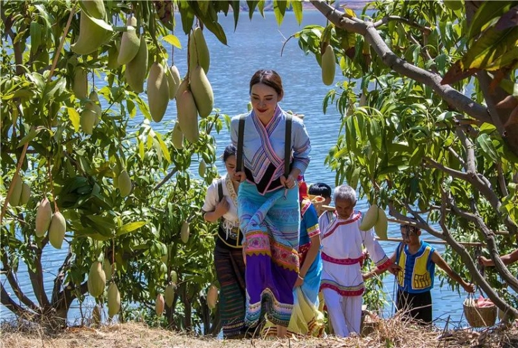 华坪守护绿水青山中打造金山银山、实现“生态美、百姓富”的目标 (5).jpg