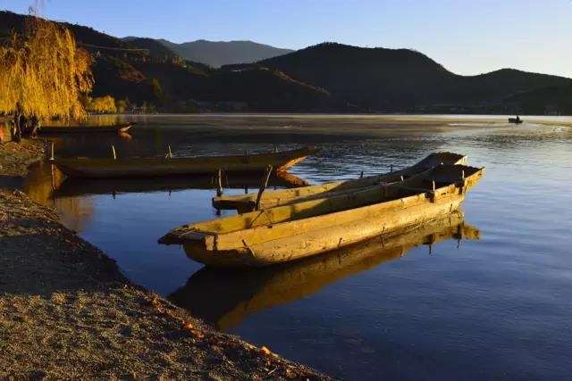 这个秋天，最美泸沽湖那一抹黄色！ (5).jpg