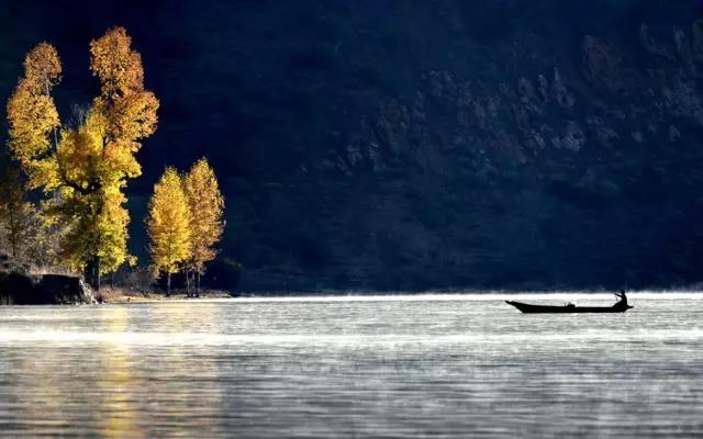 这个秋天，最美泸沽湖那一抹黄色！ (4).jpg