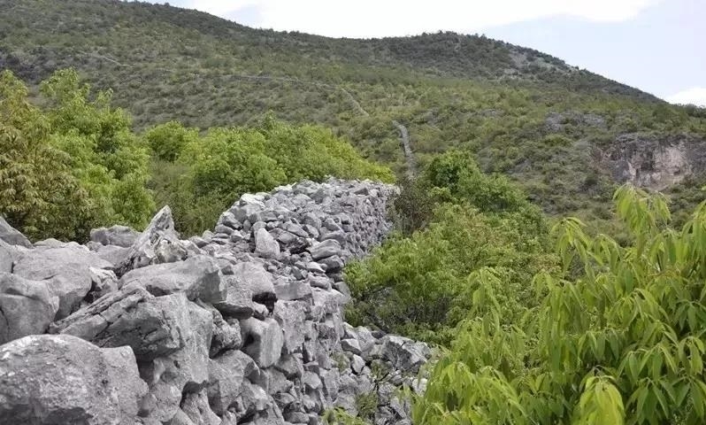 修缮“丽江小长城”！区政协领导开展重点提案督办 (2).jpg