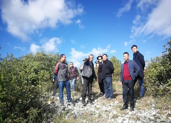 修缮“丽江小长城”！区政协领导开展重点提案督办 (3).jpg