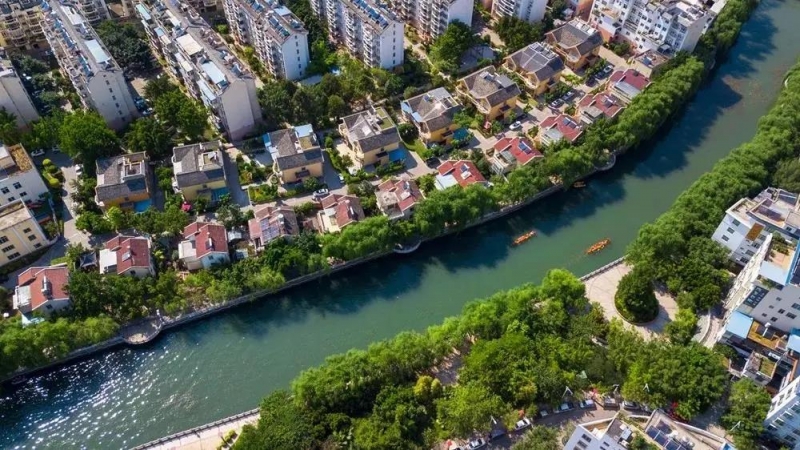 华坪县：“党建 ” 催开产业致富花——华坪县党建引领走好产业扶贫之路 (2).jpg