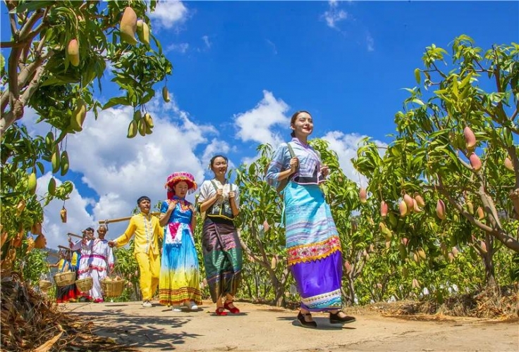 华坪县：“党建 ” 催开产业致富花——华坪县党建引领走好产业扶贫之路 (1).jpg