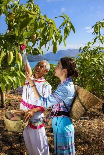 石龙坝镇芒果种植面积达16.60万亩、总产值达10 (7).jpg