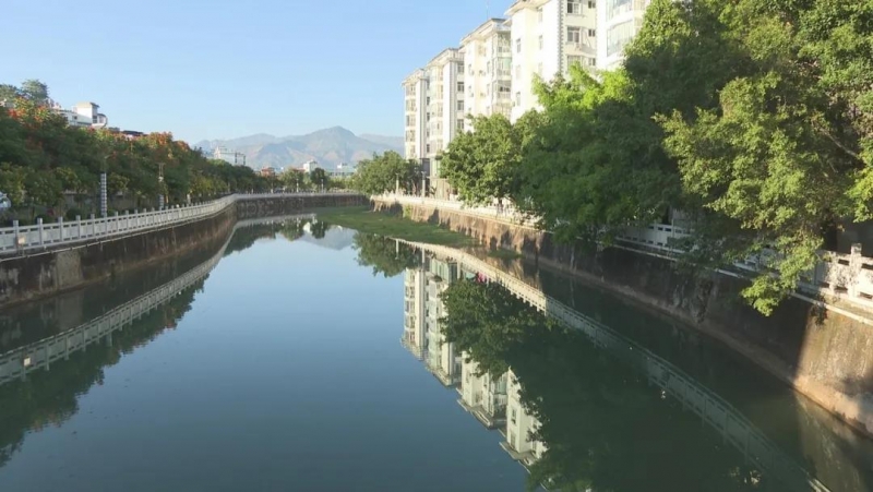 赏冬花冬景 醉美华坪城2.jpg