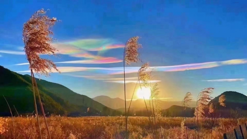 丽江向全世界诠释什么叫七彩云南 (5).jpg