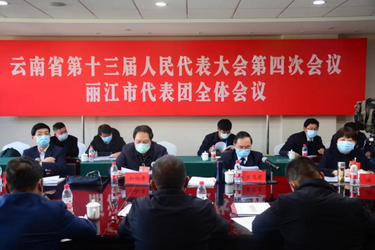 出席省人代会的丽江市代表团举行全体会议和临时党支部大会 (2).jpg