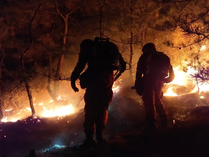 高火险期到了 森林草原防火区禁止一切野外用火2.jpg
