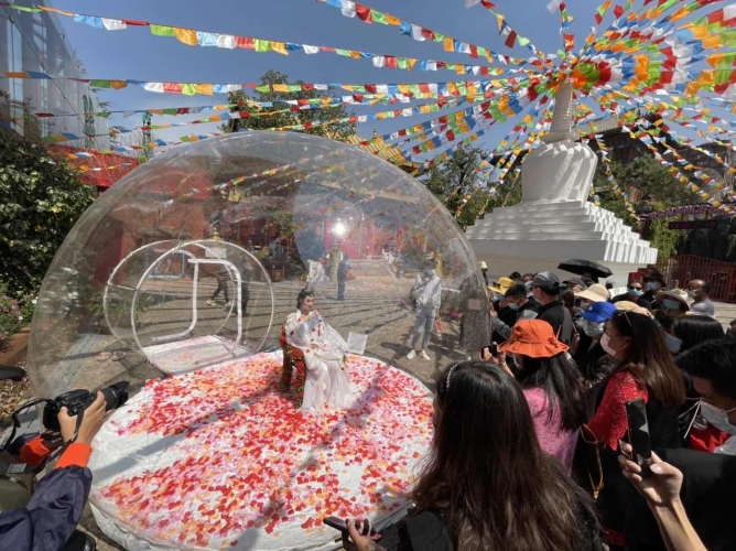 为每一个拥有美好梦想并执着追求的人们喝彩！丽江千古情花痴节闪亮登场 (6).jpg