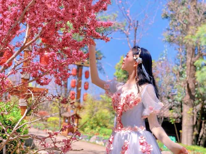 为每一个拥有美好梦想并执着追求的人们喝彩！丽江千古情花痴节闪亮登场 (10).jpg