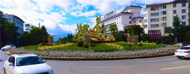 5年打造国际花园城市，丽江打造11条生态花卉主题街道 (2).png