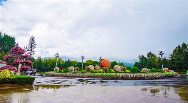 5年打造国际花园城市，丽江打造11条生态花卉主题街道 (1).png
