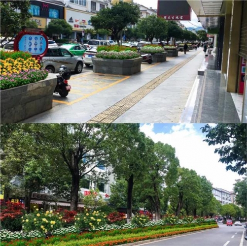 5年打造国际花园城市，丽江打造11条生态花卉主题街道 (8).jpg