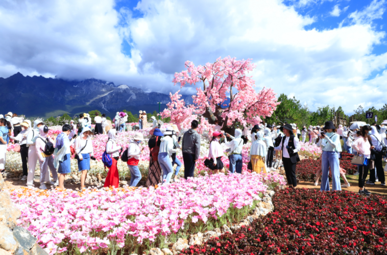 丽江清明假期三天共接待游客33.55万人次 旅游收入3.82亿元 (1).png
