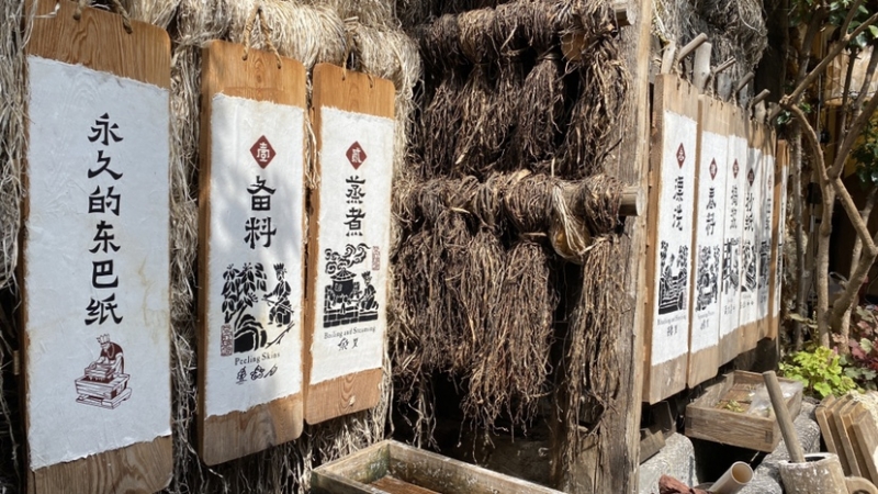 新媒体行 (1).jpg