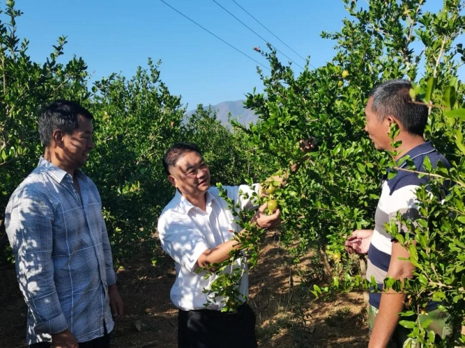 涛源绿色卫士 坚守金沙江畔的一片绿洲8.jpg