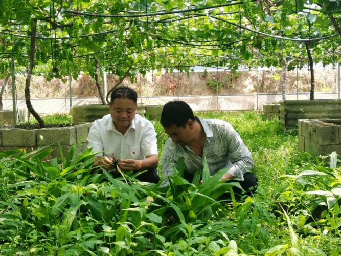 涛源绿色卫士 坚守金沙江畔的一片绿洲1.jpg