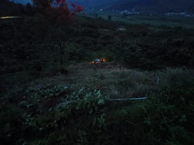 凌晨5点 川牌女司机驾车在华坪坠入40米的芒果林……1.jpg