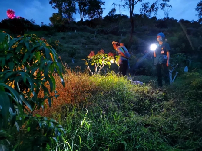 凌晨5点 川牌女司机驾车在华坪坠入40米的芒果林……2.jpg