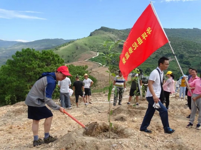 4.华坪县纪委干部职工齐上阵 争做绿色发展“排头兵”.jpg