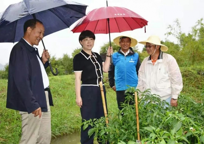 浦虹专题调研古城区农业博览园，强调发展特色农业产业，推动农旅融合发展.jpg