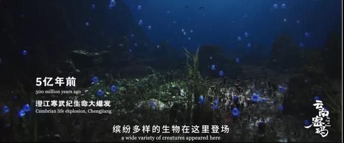 COP15云南宣传片发布！《云南密码》为您解密云南1.jpg